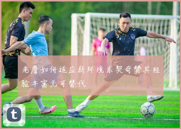 老詹如何适应新环境东契奇赞其经验丰富无可替代